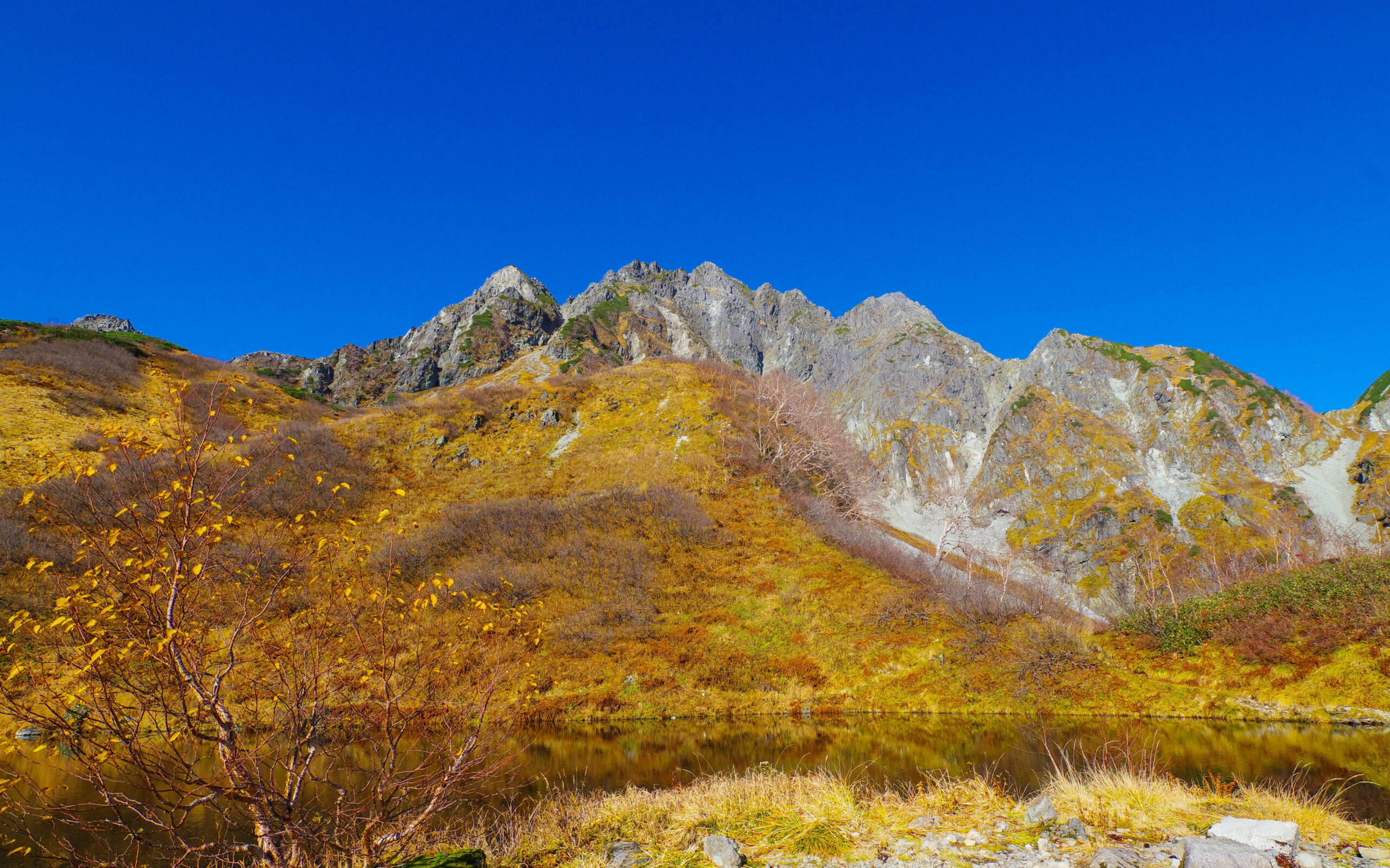 秋の山