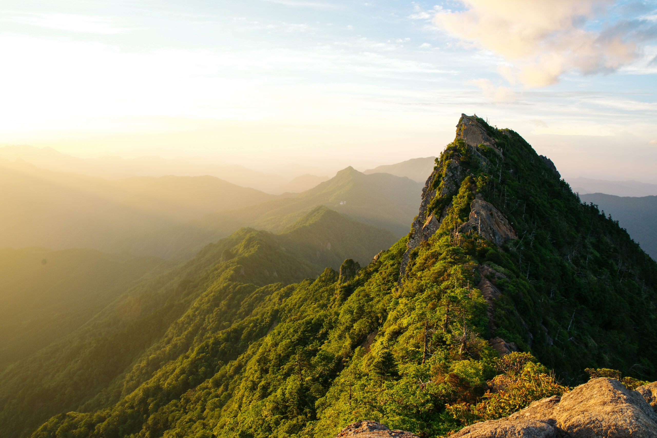 夏の山